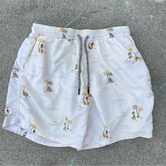 Katin Swim Trunks Hawaiian shorts size large Preowned beach pool summer vacation - Picture 2 of 9